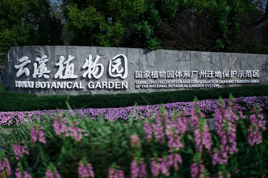 杨耀烨20240808云溪植物园 正式开园 (1)
