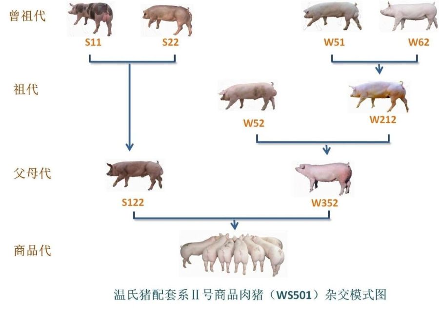 微信图片_2026-07-08_141032_793