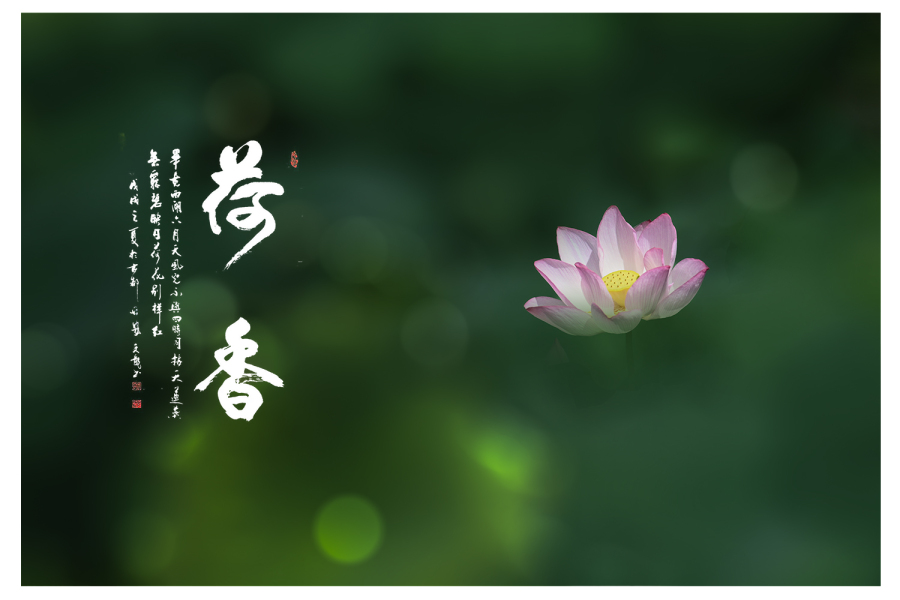 微信图片_20260706134450_132_3969