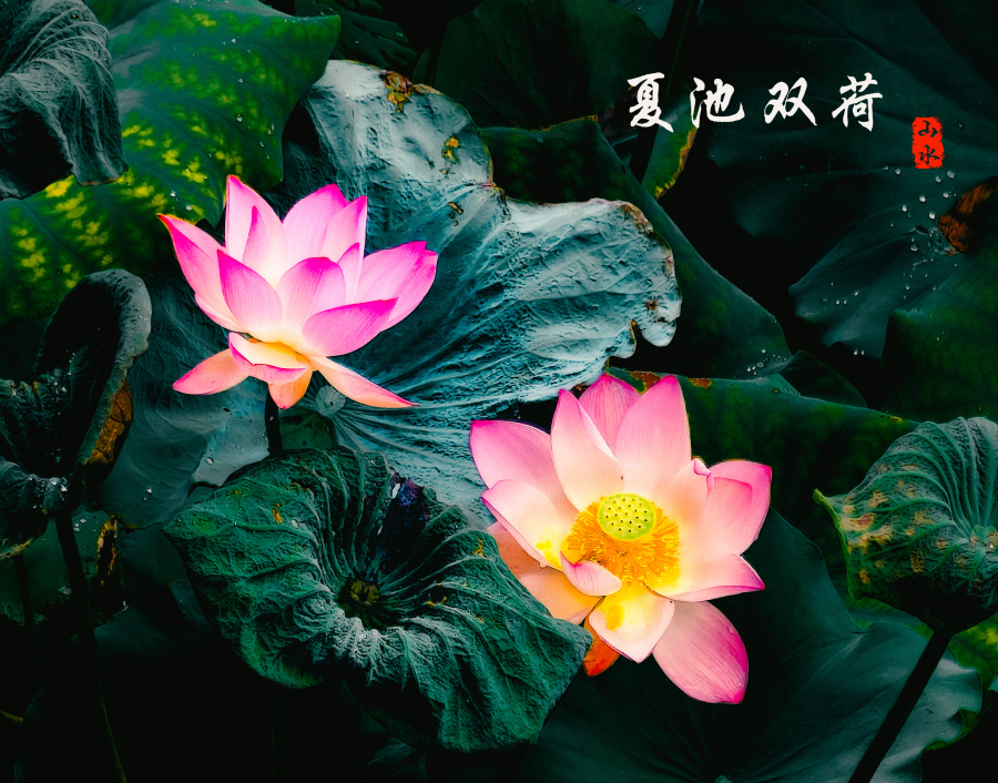 微信图片_20260706134455_133_3969