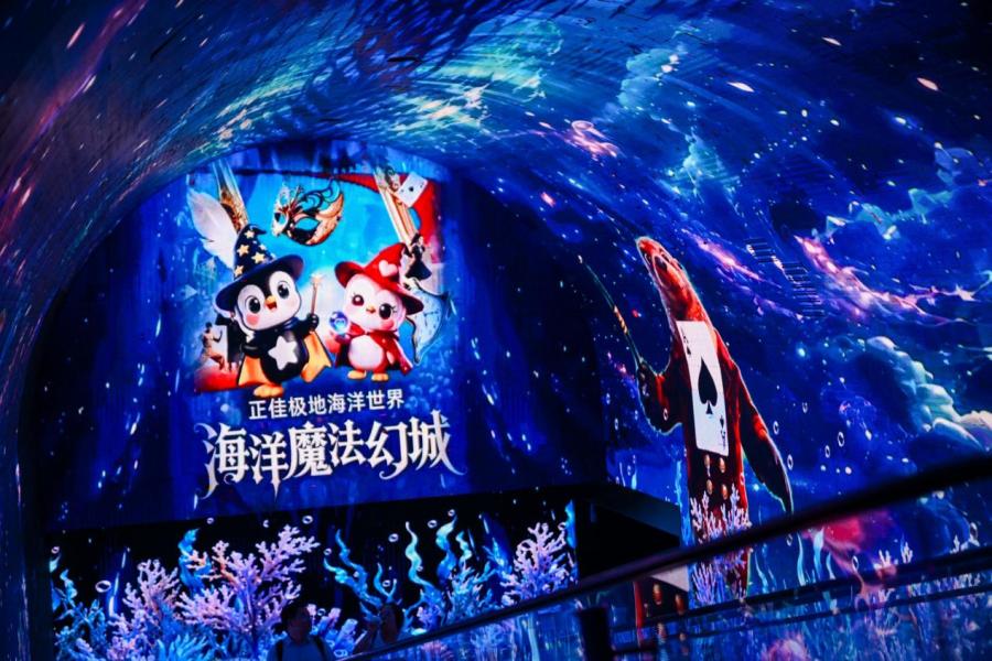 图片1