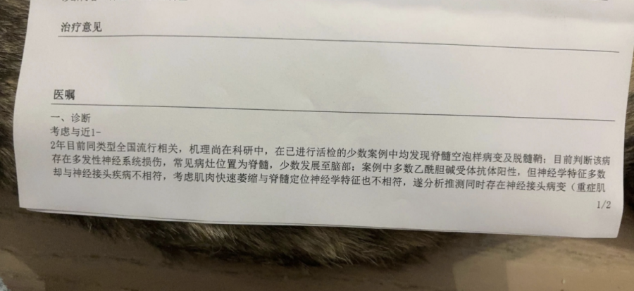 e8ce89785840d317b30a1faa78949740.png e8ce89785840d317b30a1faa78949740.png
