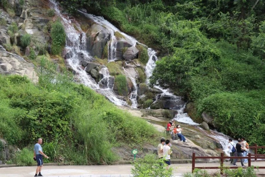 白水山森林公园
