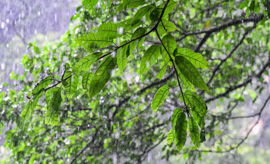 7d4ab614-cf02-4f5e-8214-140e326028ab.jpg