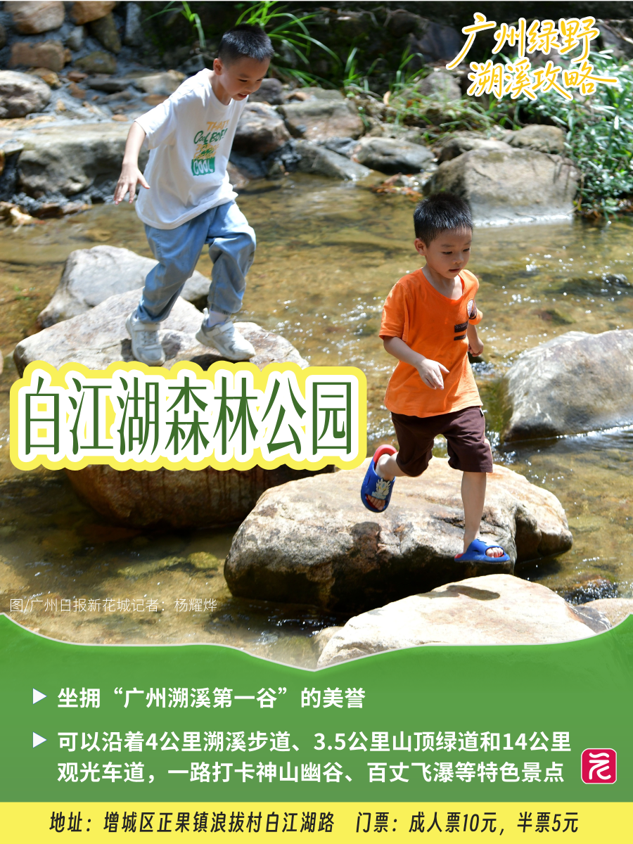 森林消暑__2026-07-16+21_47_12