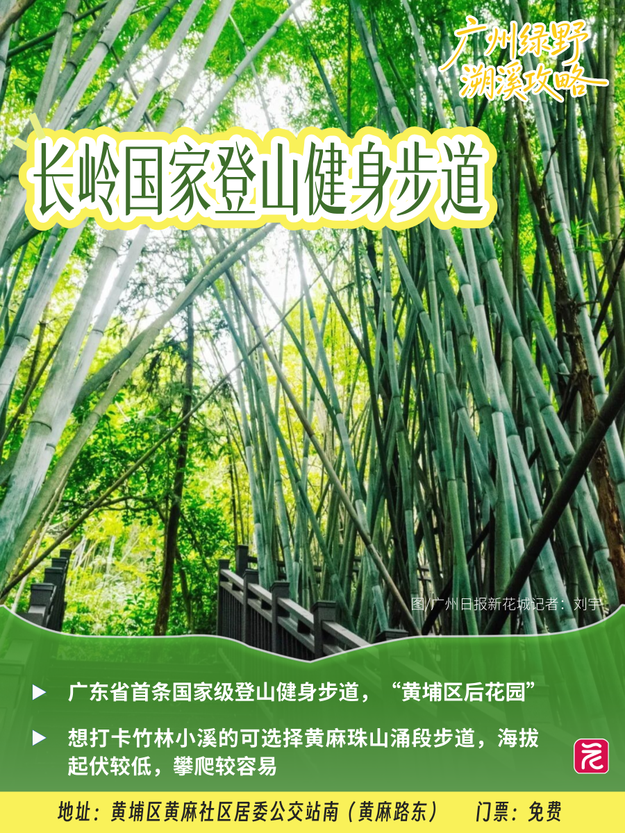 森林消暑__2026-07-17+12_50_29.png 森林消暑__2026-07-17+12_50_29.png