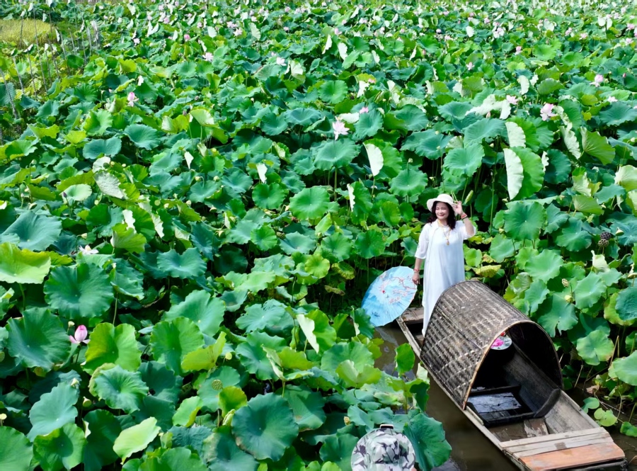 微信图片_20260706134351_124_3969.jpg 微信图片_20260706134351_124_3969.jpg