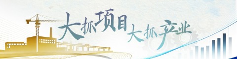 大抓项目大抓产业
