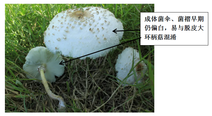 微信图片_20260710160505_2834_6.png