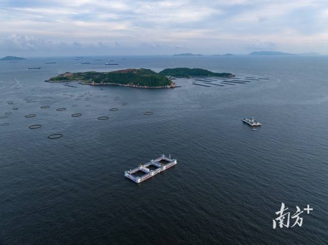 万山国家级海洋牧场示范区内正在运行的“澎湖号”“格盛1号”和众多重力式深水养殖网箱。 万山国家级海洋牧场示范区内正在运行的“澎湖号”“格盛1号”和众多重力式深水养殖网箱。