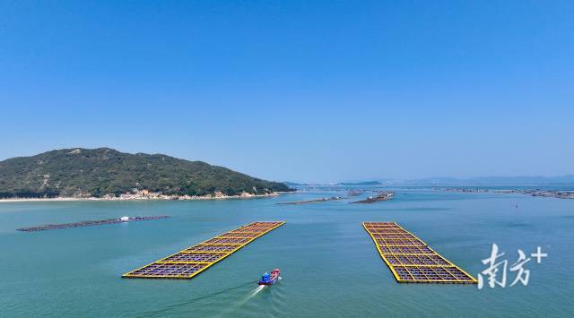 饶平海洋牧场风光。黄品 摄 饶平海洋牧场风光。黄品 摄
