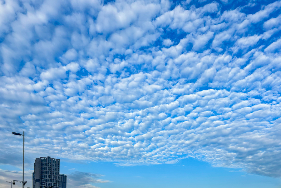 廖雪明260805天气-蓝天白云.gz-cmc.com_avm_oss_2026_08_ad9a8014-370e-4943-aa68-f1699d322287