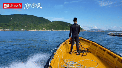 1.gif