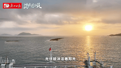 10.gif