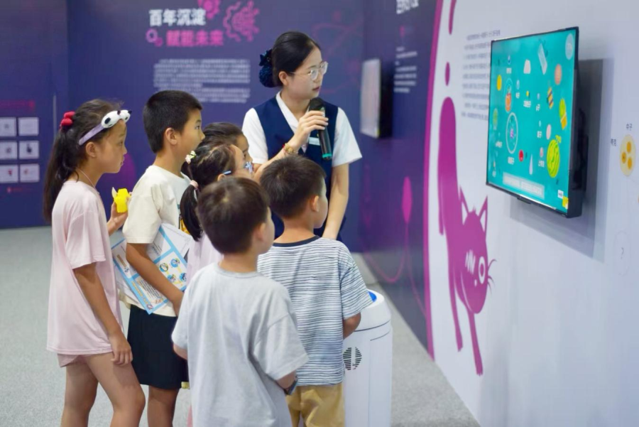 图片63