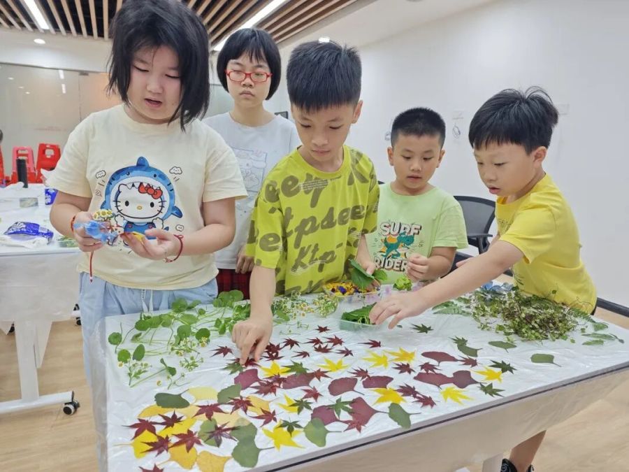 植物拓染挑选心仪植物.jpg