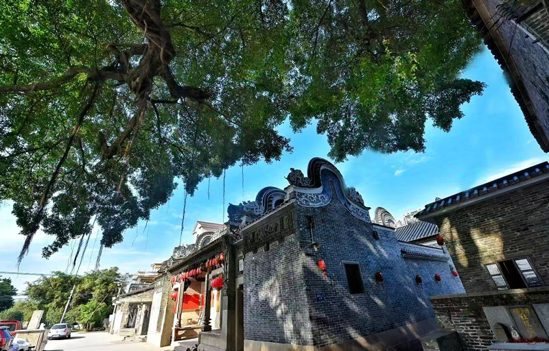 佛山市南海区九江镇烟桥村。烟桥村始建于明代正统十四年(1450年),因村落布局如一展翅飞燕,初称“燕桥村”,后村口长桥终年水汽蒸腾、烟霞缭绕,清乾隆年间改称“烟桥村”。
