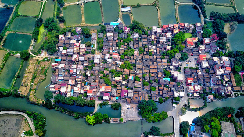 佛山市南海区九江镇烟桥村。