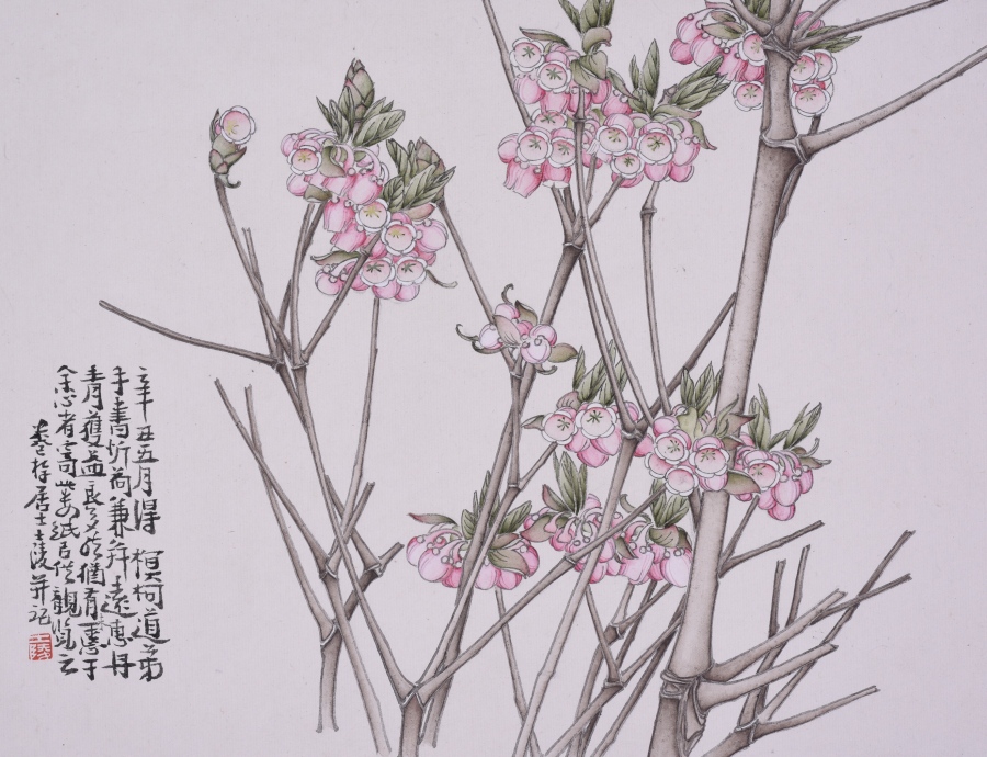 image019