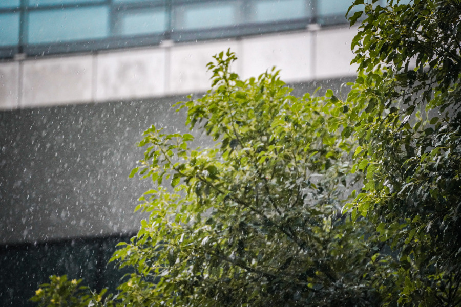 吴子良 20260831 广州持续有雨.gz-cmc.com_avm_oss_2026_08_b03ddf6b-4f65-4ea5-8627-8cb591ea6462