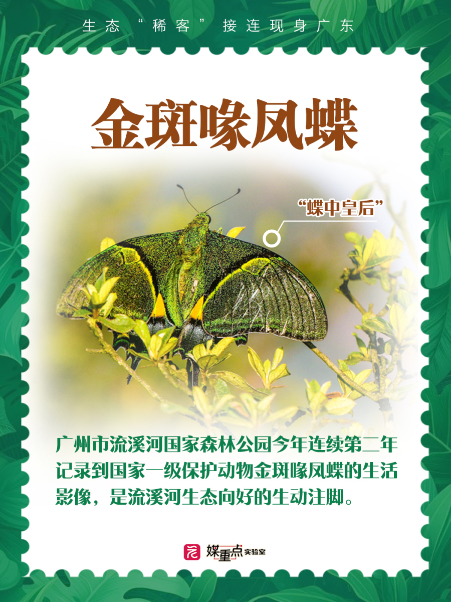 73eb43e54a8fb0508eef71b40c67610d.jpg 73eb43e54a8fb0508eef71b40c67610d.jpg