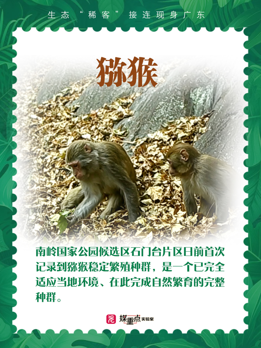 06d4b2c7638239732c75c6a143b6b486.jpg 06d4b2c7638239732c75c6a143b6b486.jpg
