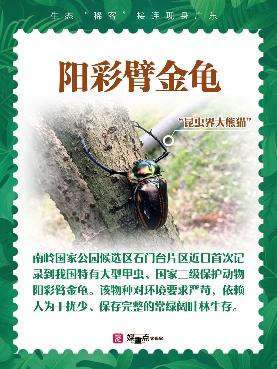 aa5e60bd94f20f08d738b429fe5655d6.jpg aa5e60bd94f20f08d738b429fe5655d6.jpg