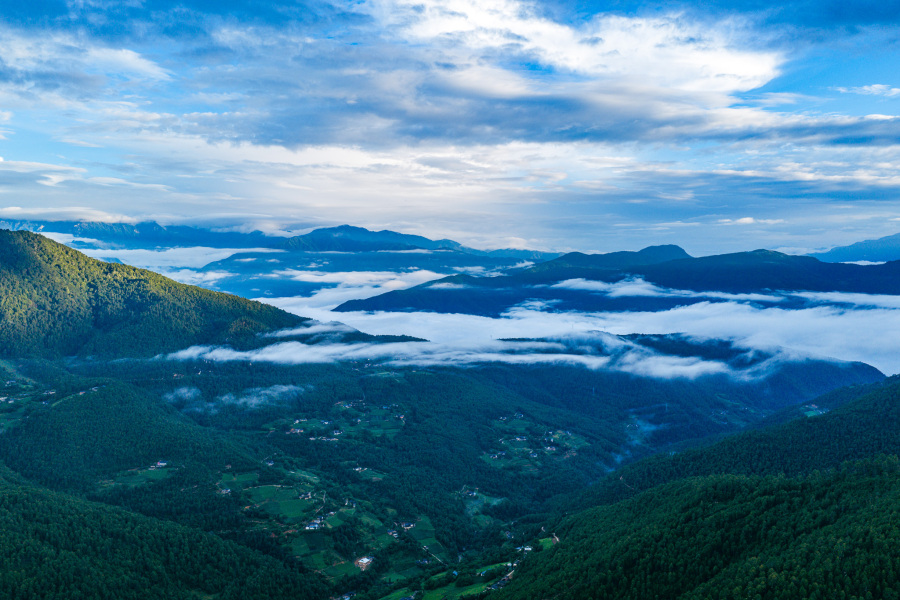 山货出山