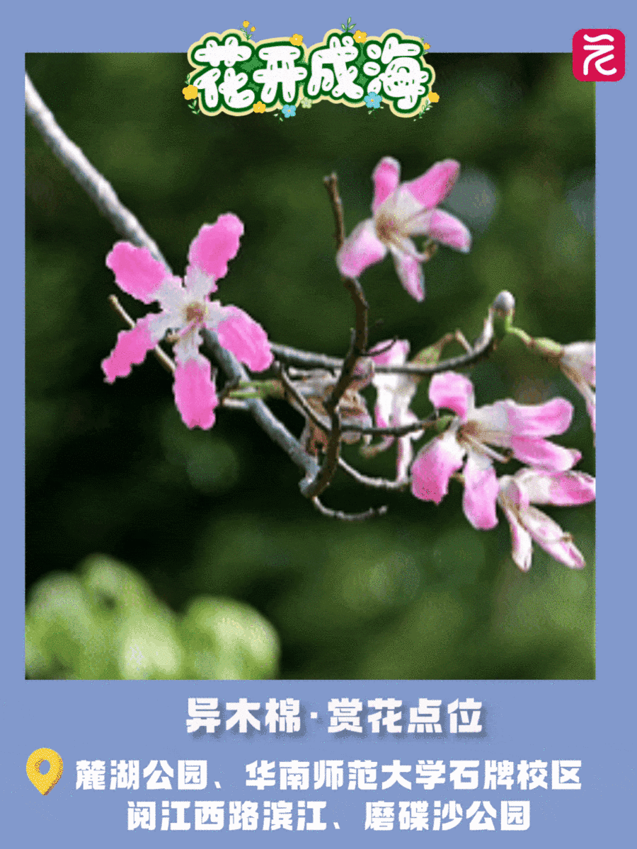 6.gif 6.gif