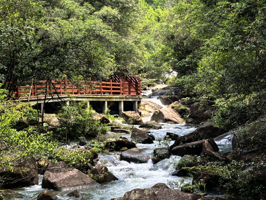白江湖森林公园