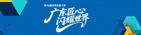 广东匠心 闪耀世界丨第48届世界技能大赛