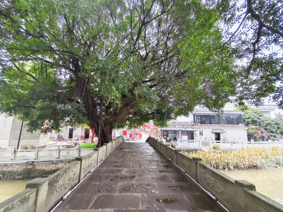 骆昌威20250228番禺区大岭村(16)