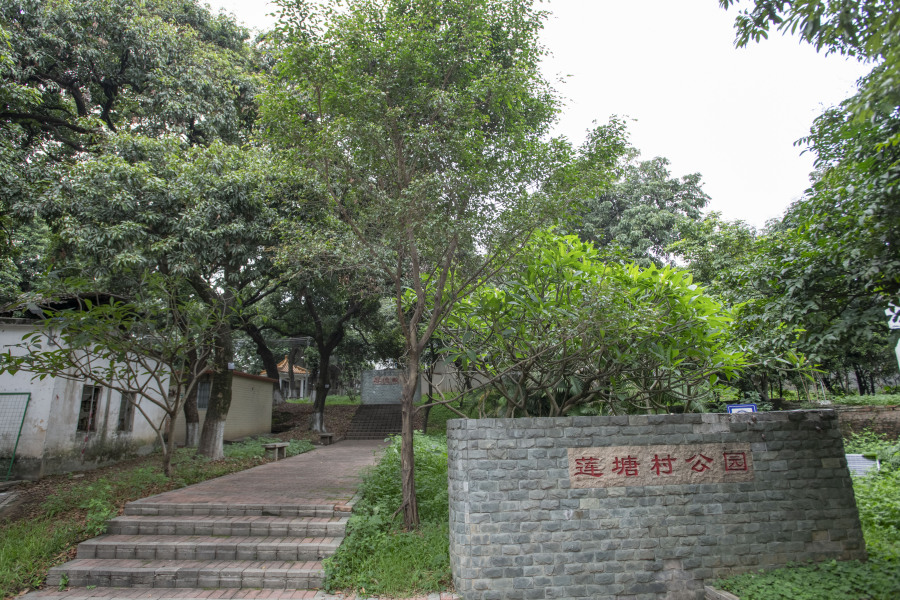 杨耀烨20230704黄埔大沙街道 莲塘村 (3)