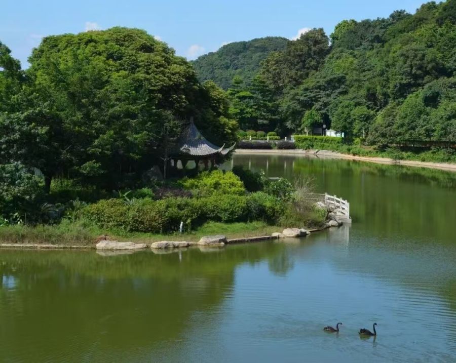 c03ebaeec1ace67eece7980d1ce2ca51