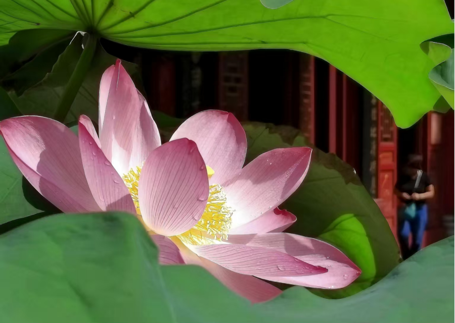 图片16