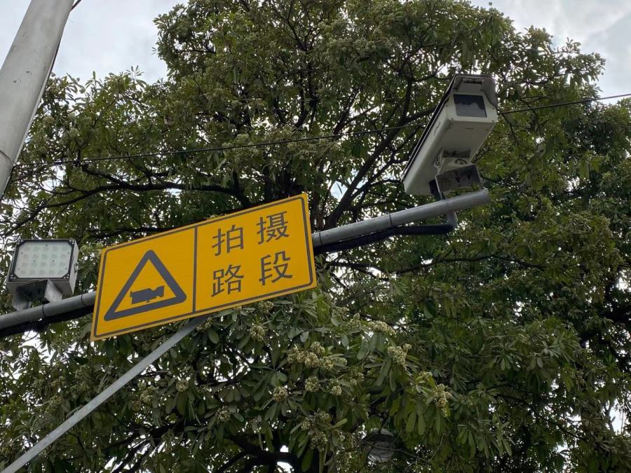 电子警察2
