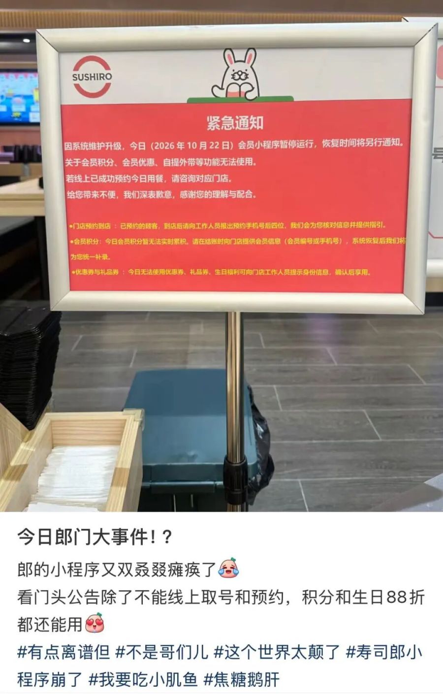 cd1baf553e12e35ac8b5dac2d8d9dc38.jpg