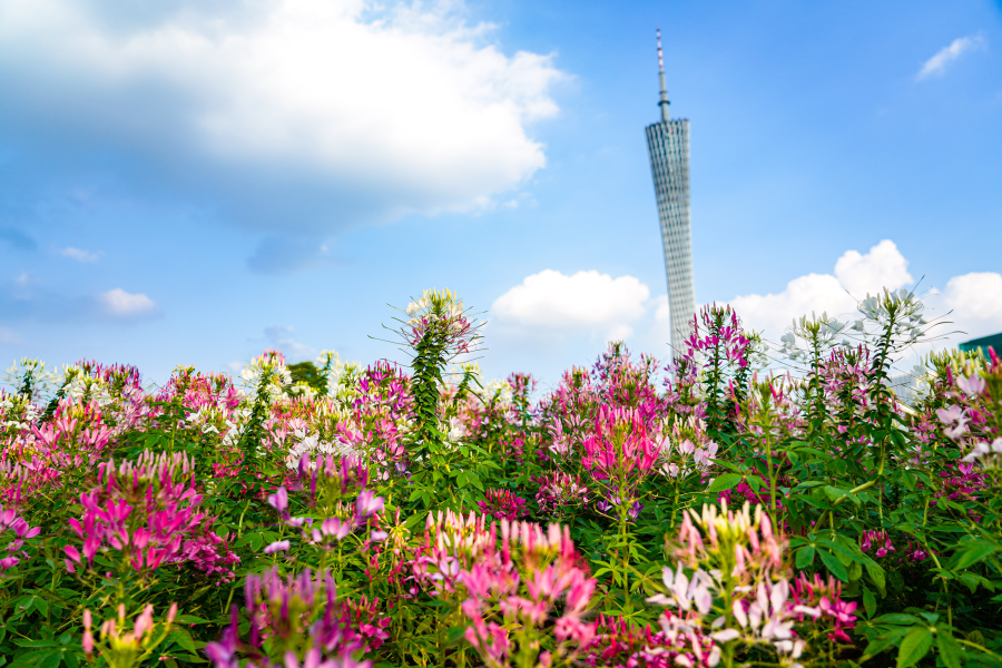 微信图片_20261023220949.png 微信图片_20261023220949.png