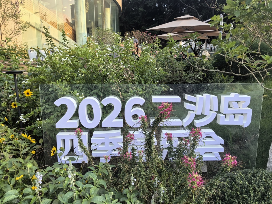二沙音乐会