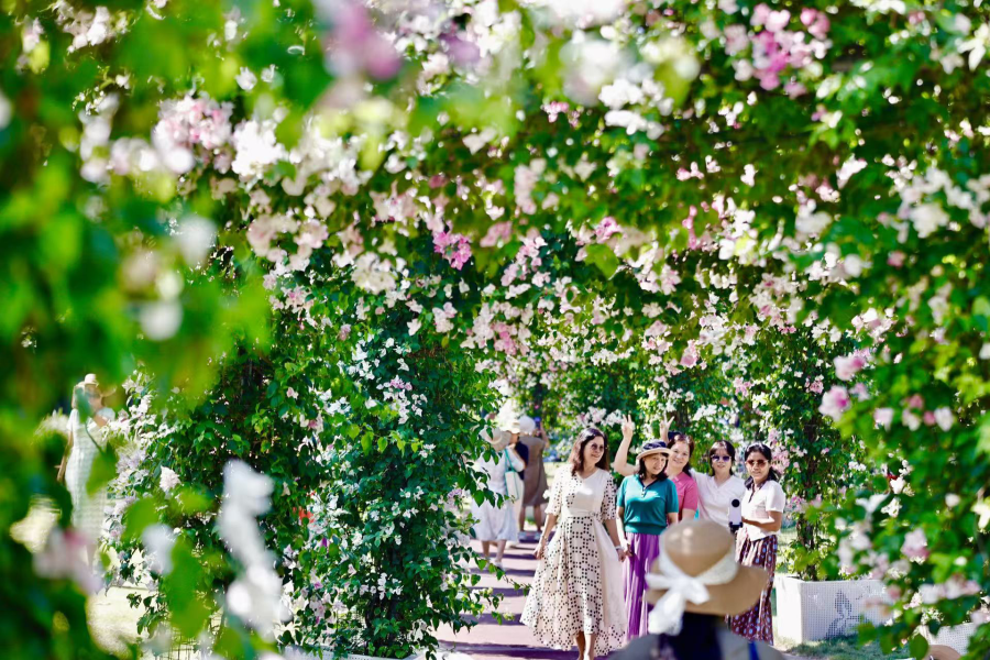 秋日里的花城.gz-cmc.com_avm_oss_2026_10_2400a6d35d33c744a8830568956d3f5cd3.png
