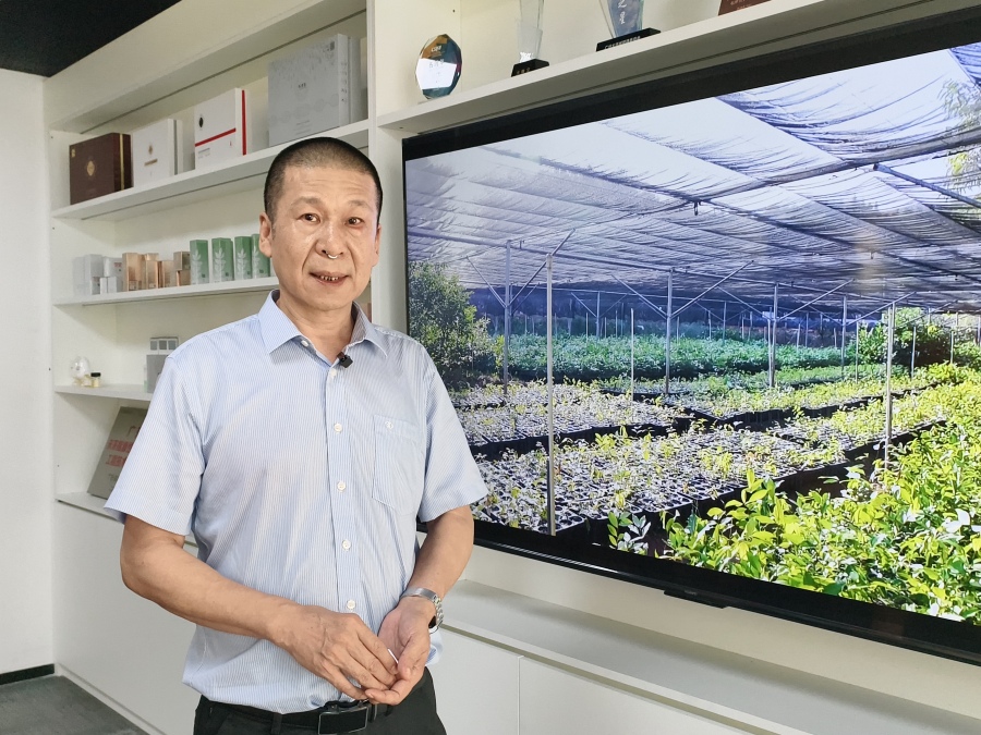 凌凤清带领团队打破了我国天然冰片依赖进口的局面