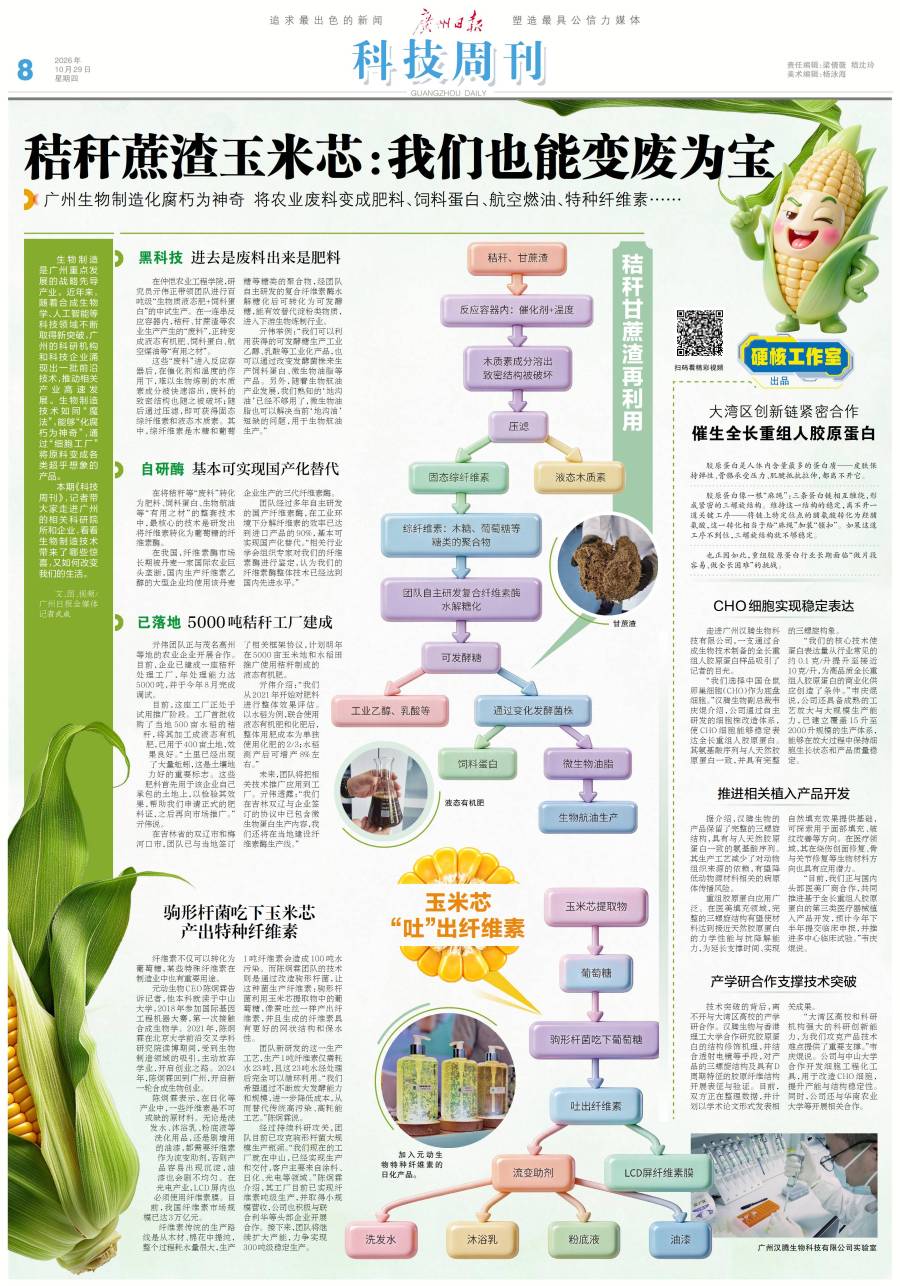 微信图片_20261029065419_3_33