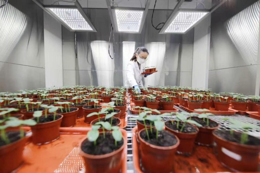 慕恩生物人工气候室