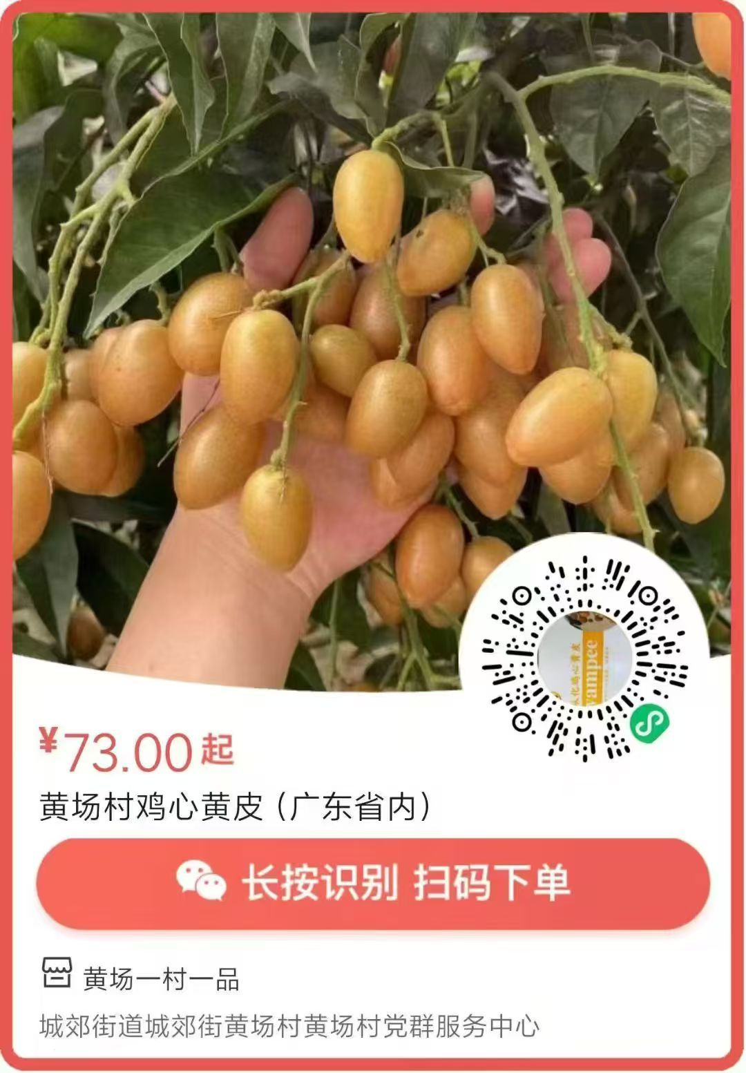 微信图片_20250706153233