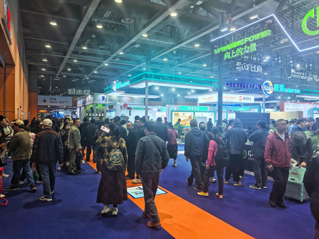 现场人流如织。智顼颖 摄