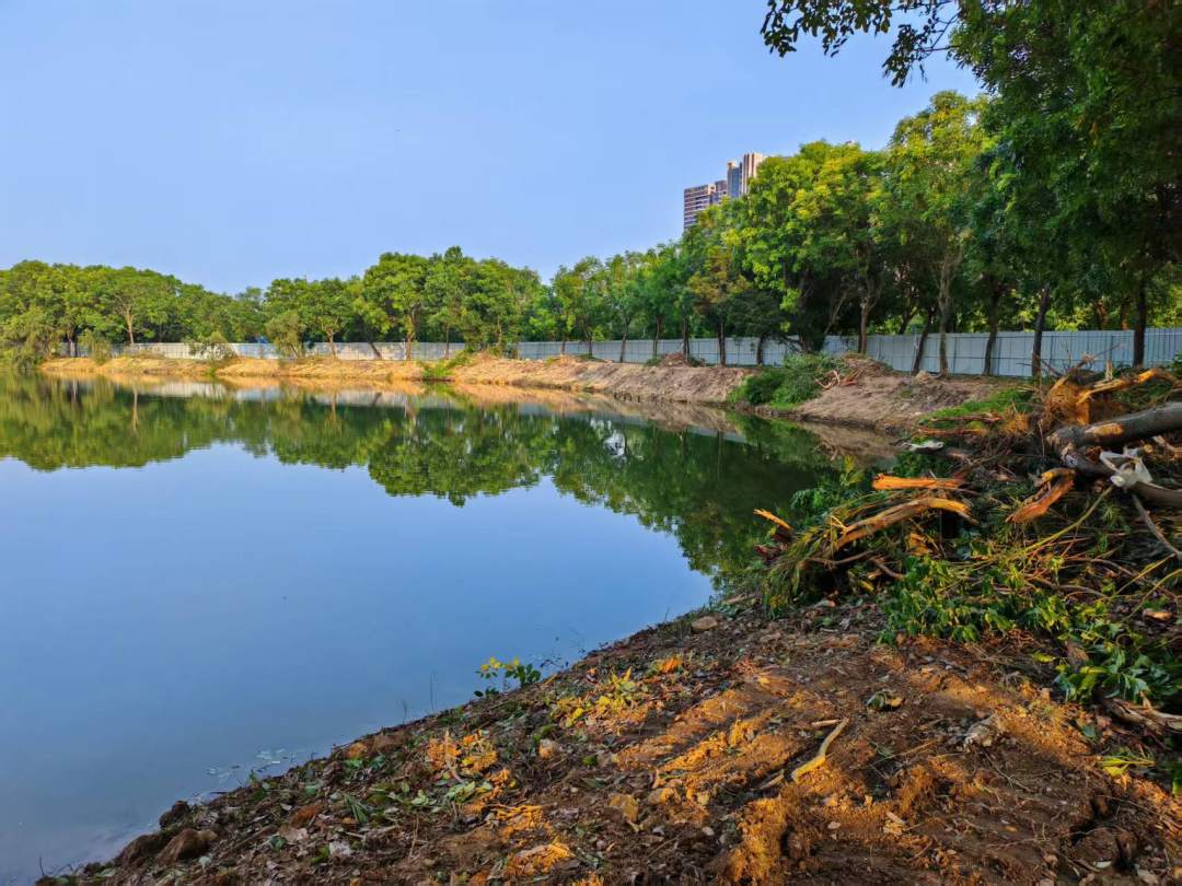 图片3.jpg 图片3.jpg