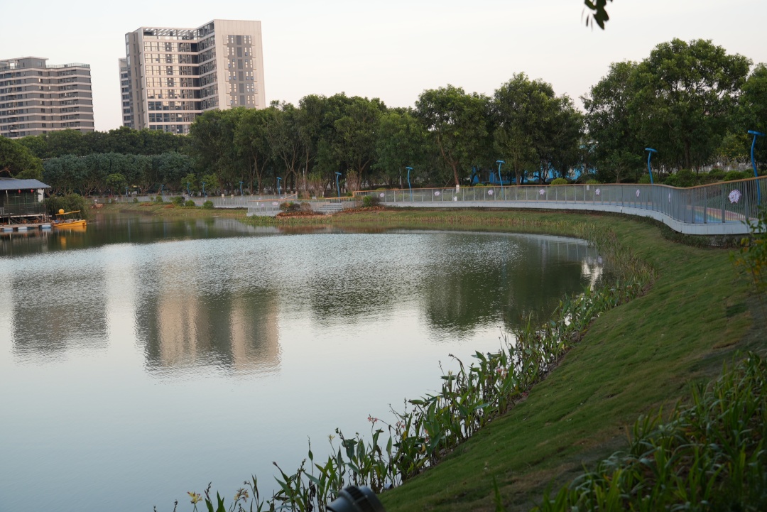 图片4.jpg 图片4.jpg