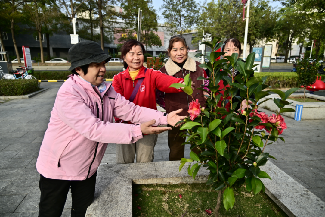 IMG_1504.PNG IMG_1504.png