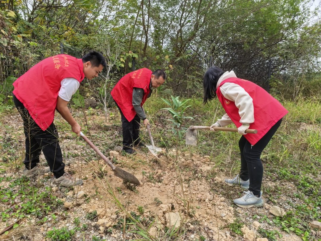东莞市银瓶山森林公园组织干部职工开展义务植树活动。通讯员供图