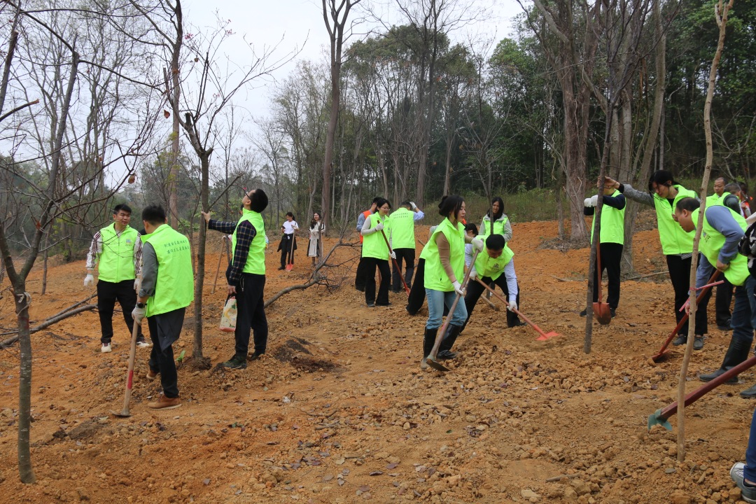 韶关市2026年“绿美韶关生态建设”新春植树活动。通讯员供图